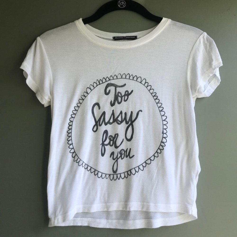 Brandy Melville Graphic Crop Top